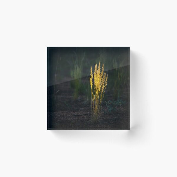 Item preview, Last Light Of Day designed and sold by Danny Key.