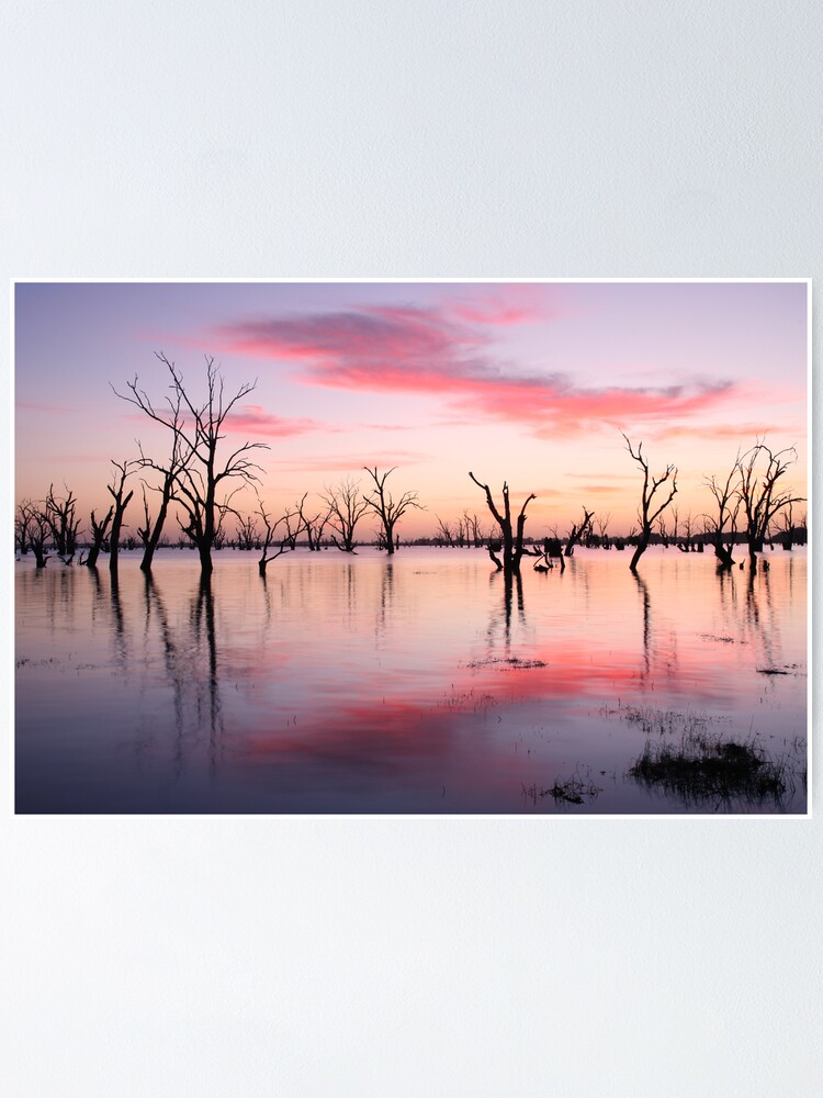 Thumbnail 2 of 3, Poster, Lake Victoria Dawn, Australia designed and sold by Michael Boniwell.