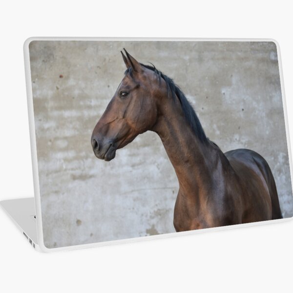 Perfection Laptop Skin