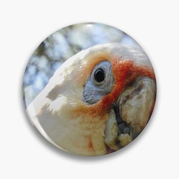 Item preview, Long-Billed Corella feeding on tree  designed and sold by Mark Grimsley.