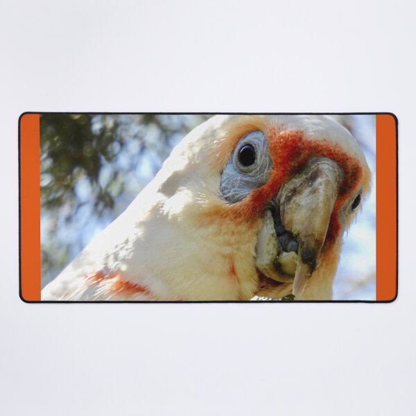 Item preview, Long-Billed Corella feeding on tree  designed and sold by Mark Grimsley.