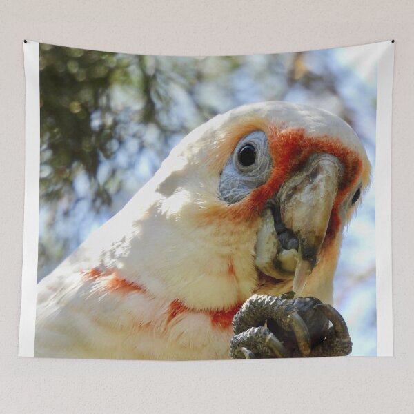 Item preview, Long-Billed Corella feeding on tree  designed and sold by Mark Grimsley.