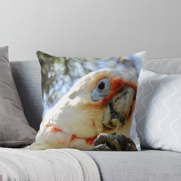 Item preview, Long-Billed Corella feeding on tree  designed and sold by Mark Grimsley.