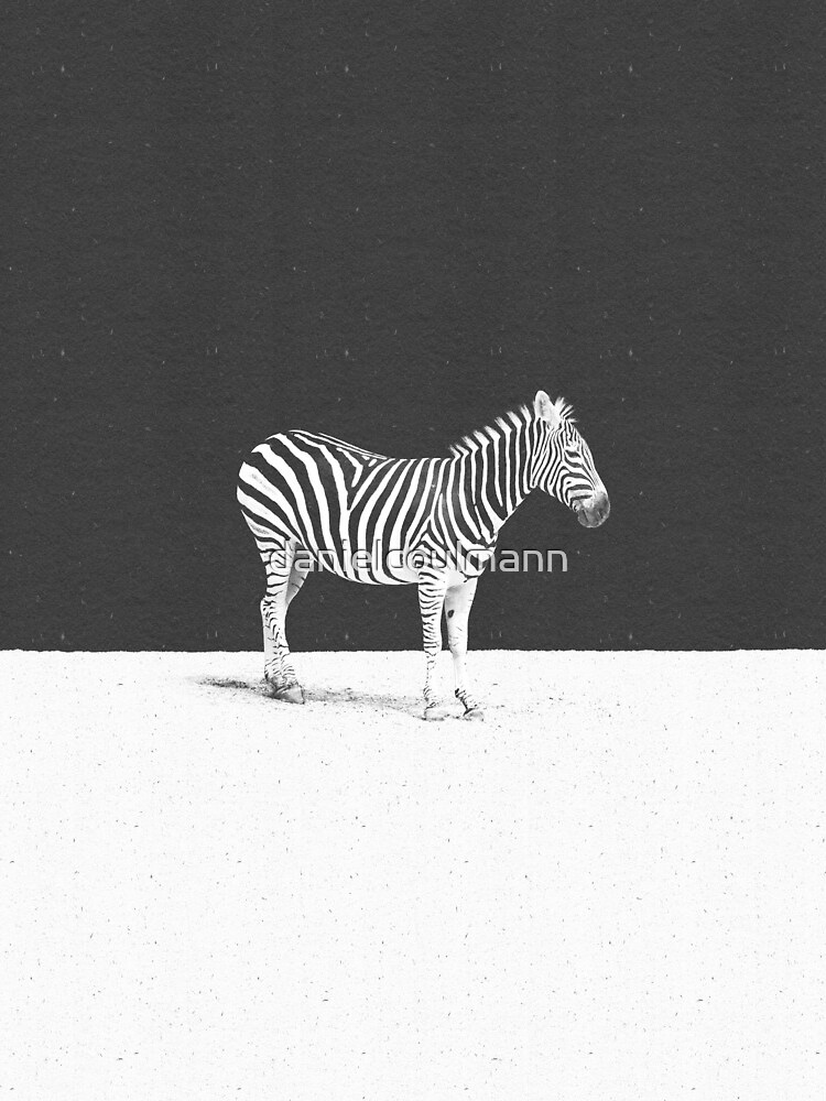 CAMOUFLAGE by danielcoulmann