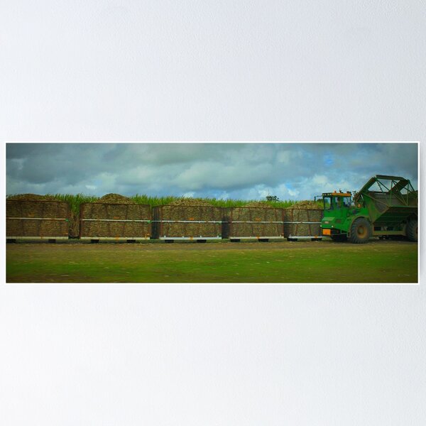 Item preview, Loading the Sugar Cane Train designed and sold by myraj.