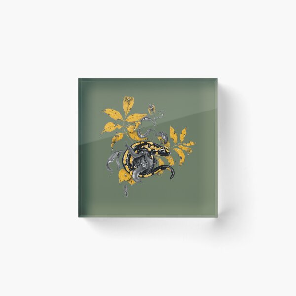 Item preview, Salamander and Snails  Scoop  	 designed and sold by zuoxntfp52.