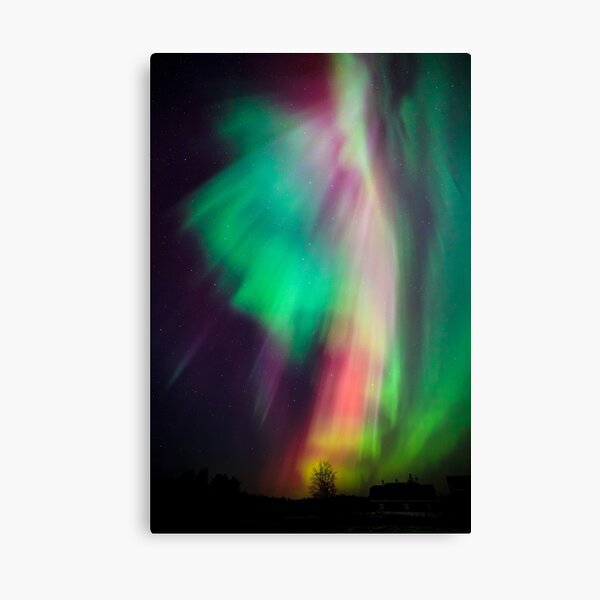 Beautiful multicolored northern lights in Finland Canvas Print