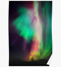 Schöne mehrfarbige Nordlichter in Finnland Poster