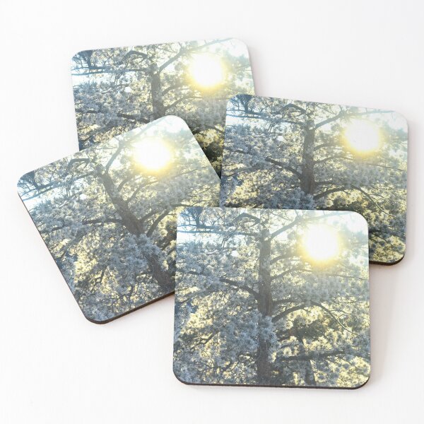 Item preview, Morning Sunshine designed and sold by Danny Key.