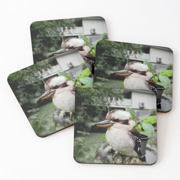Item preview, Kookaburra  designed and sold by Chloe Gibson.