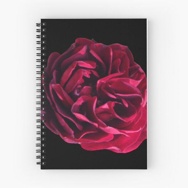 Item preview, Red Cabage Rose designed and sold by Eclectic Gold.