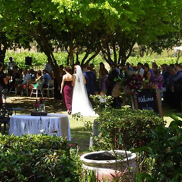 Artwork thumbnail, Walking Down the Aisle by Adelaide artist Avril Thomas at Magpie Springs by MagpieSprings
