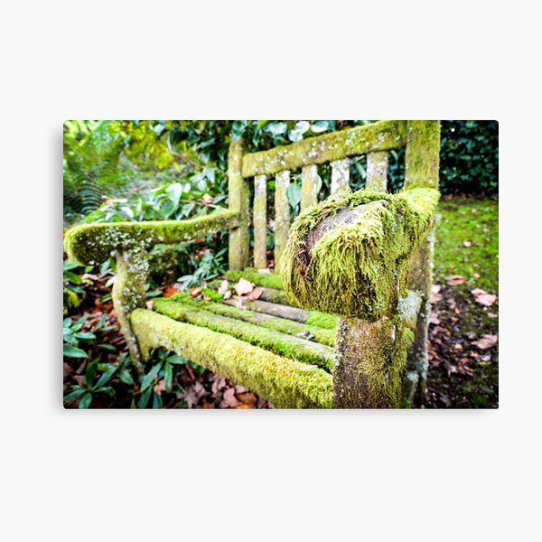 AN ANCIENT CHAIR COVERED IN MOSS Canvas Print