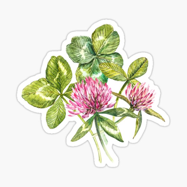 Item preview, Clover leaf and flowers  designed and sold by Ann Astro.