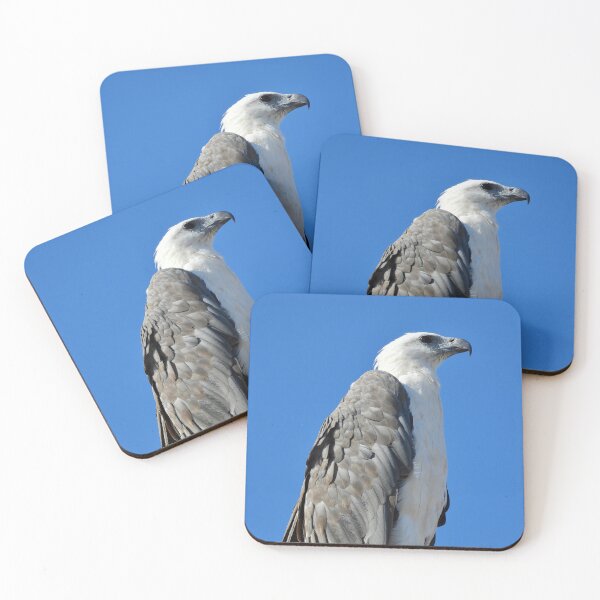 Item preview, White-bellied Sea Eagle  sitting  proud, designed and sold by Mark Grimsley.