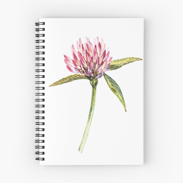 Item preview, Clover flowers sticker designed and sold by Ann Astro.