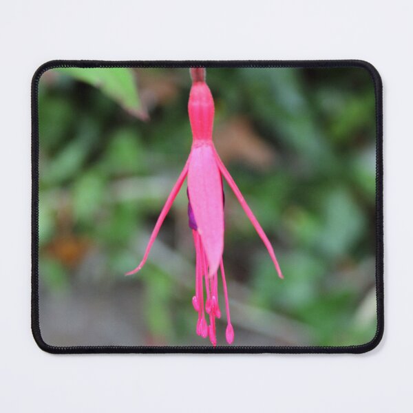 Item preview, fuchsia flower designed and sold by KathleenDawson.