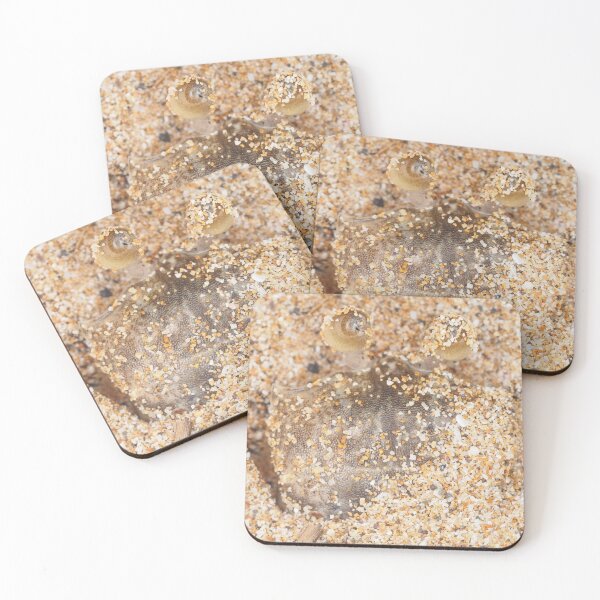 Item preview, Small crab hiding in sand on Maui, Hawaii designed and sold by SDym Photography.