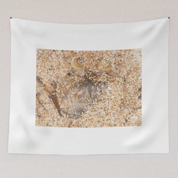 Item preview, Small crab hiding in sand on Maui, Hawaii designed and sold by SDym Photography.