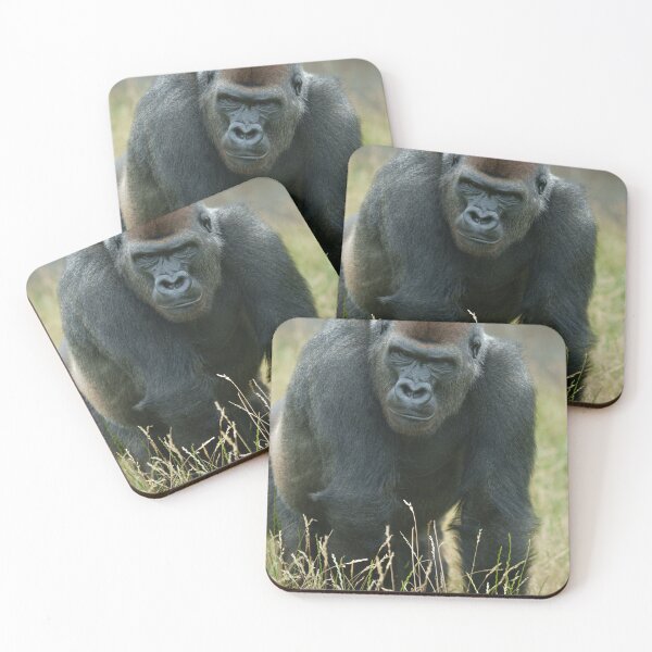 Item preview, Gorilla on the move through the tall grass designed and sold by rawshutterbug.