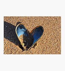 Fragile Heart............ Photographic Print