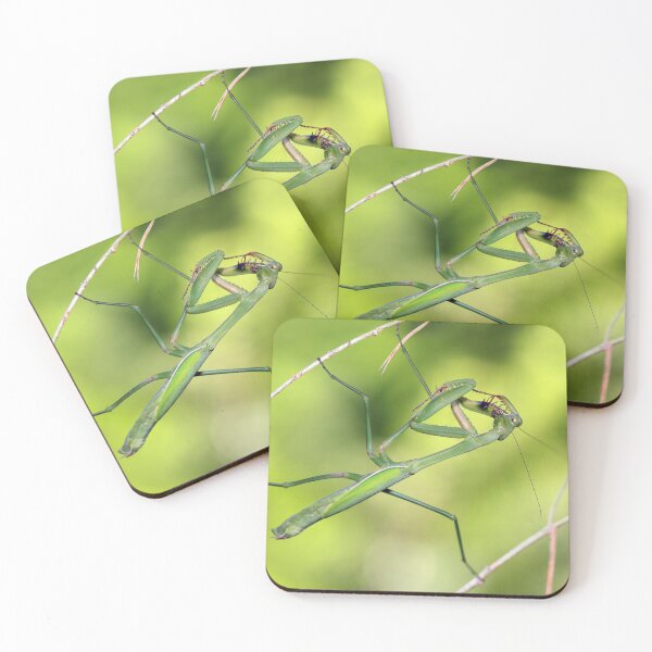 Item preview, Praying Mantis Preening designed and sold by Siene Browne.