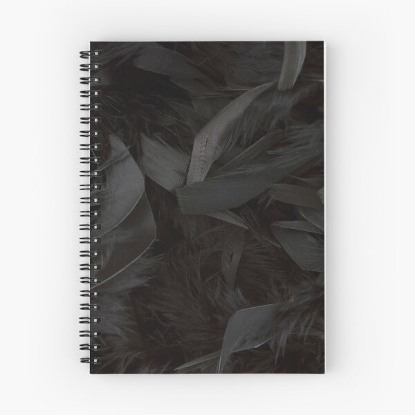 Item preview, Black Feathers Photo designed and sold by cgroenewald.