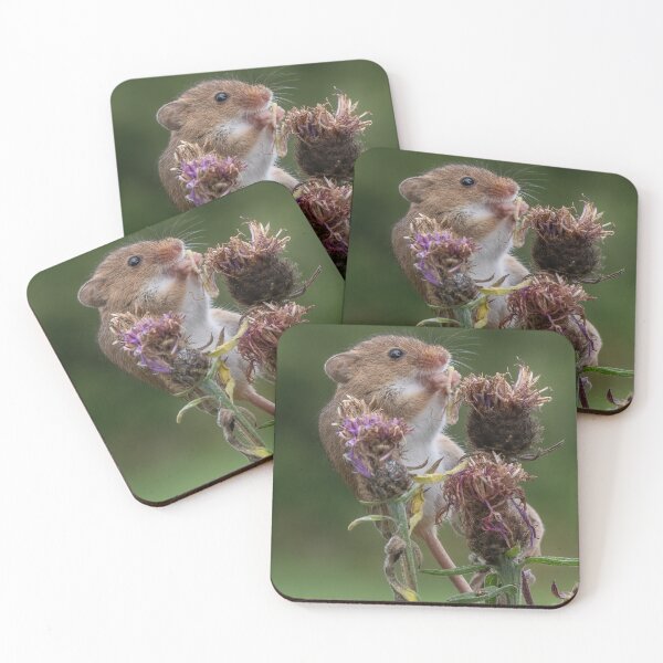 Item preview, Harvest Mouse with lunch designed and sold by Adrian Rowley.