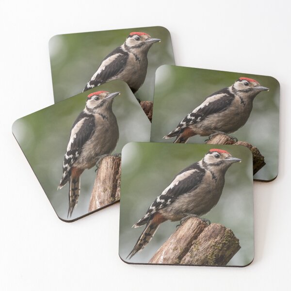 Item preview, Serene Woodpecker in Natural Habitat designed and sold by Adrian Rowley.