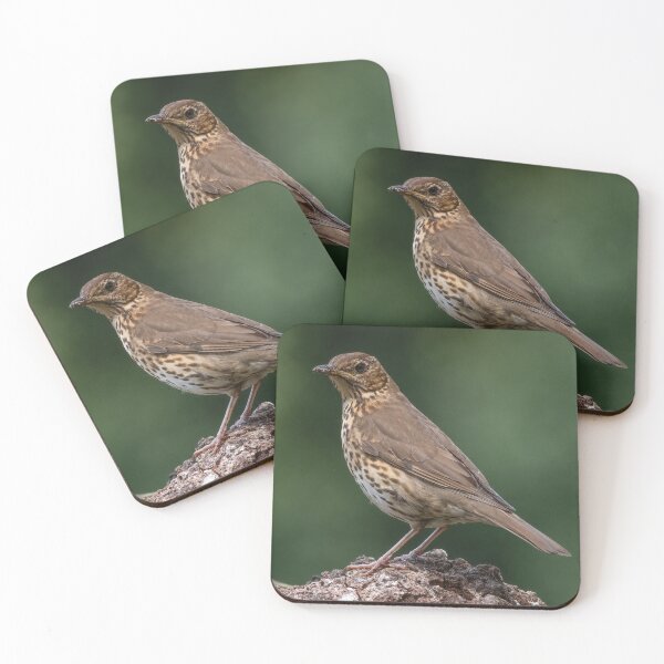 Item preview, The Song Thrush designed and sold by Adrian Rowley.