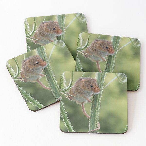 Item preview, Delicate Dance of the Harvest Mouse designed and sold by Adrian Rowley.