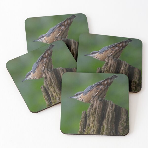 Item preview, "Graceful Nuthatch Perched on Wooden Post" designed and sold by Adrian Rowley.