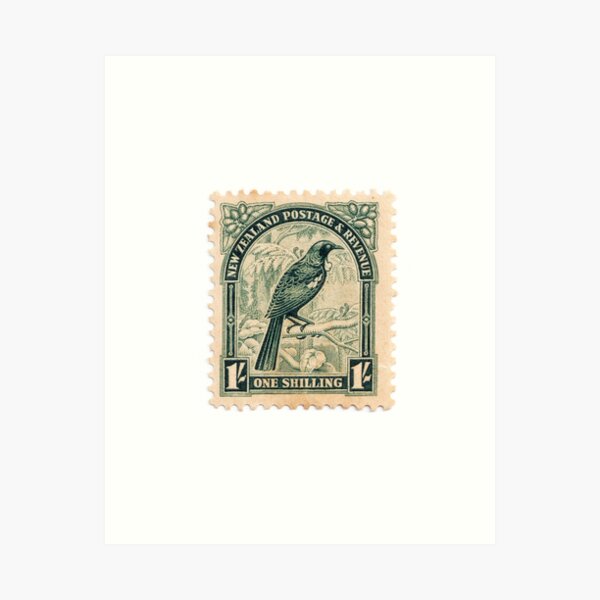 1s Tui Stamp Art Print