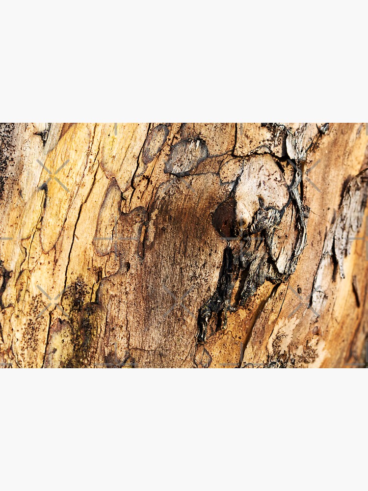 Thumbnail 3 of 3, Sticker, Under The Bark designed and sold by SiobhanFraser.