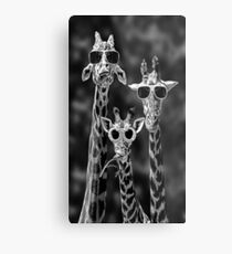 Funny Animal Metal Print