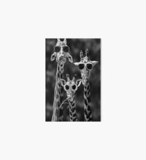 Funny Animal Art Board