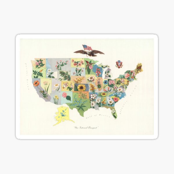 Vintage US State Flower Map (1911) Sticker