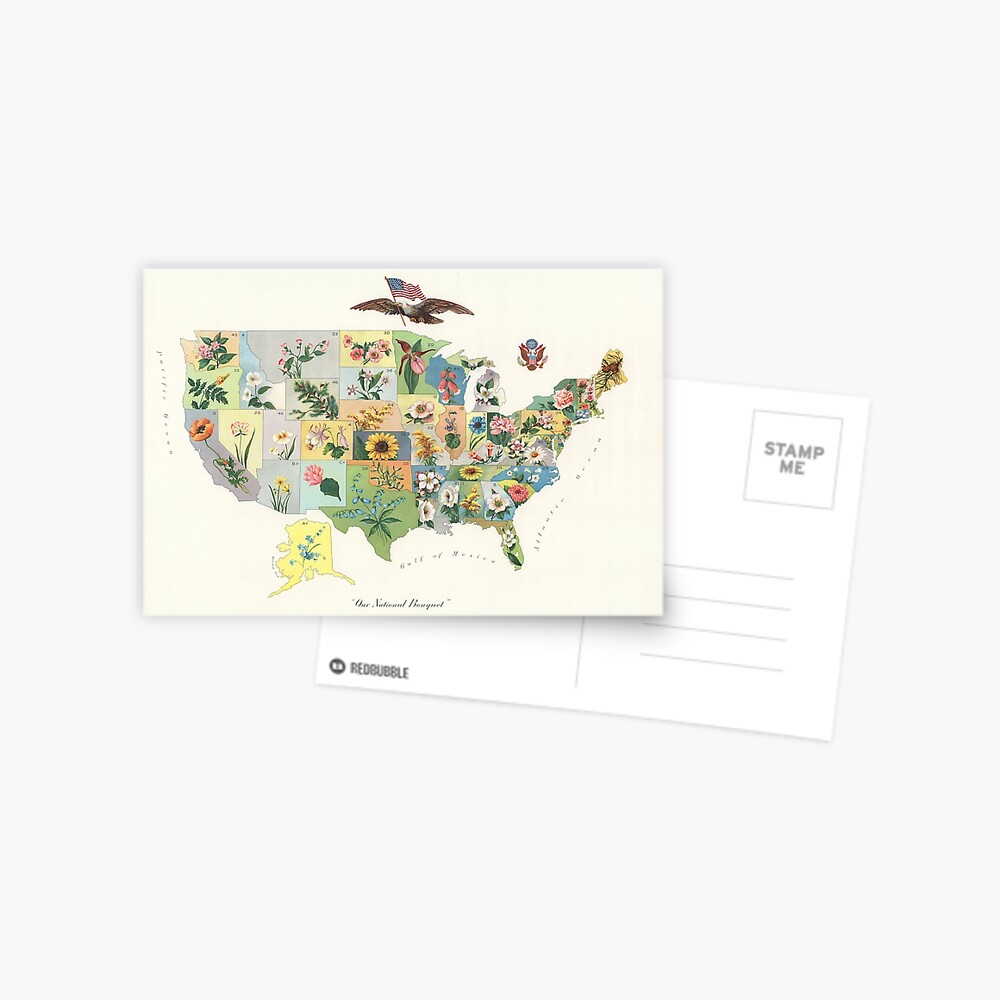 Vintage US State Flower Map (1911) Postcard