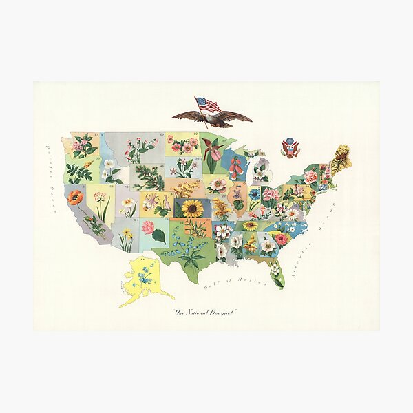 Item preview, Vintage US State Flower Map (1911) designed and sold by BravuraMedia.