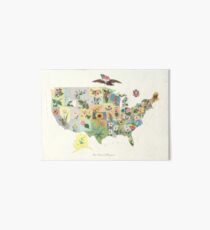 Lámina rígida Mapa de flor de estado de Estados Unidos vintage (1911)