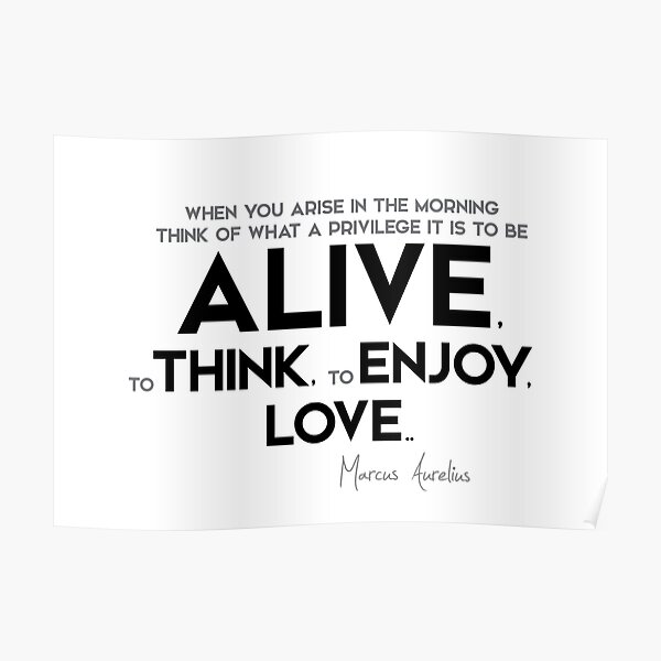what a privilege it is to be alive - marcus aurelius Poster