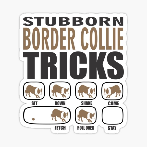 Cadeau têtu Border Collie | Cadeau de propriétaire Border Collie | Cadeau de chien Border Collie Sticker