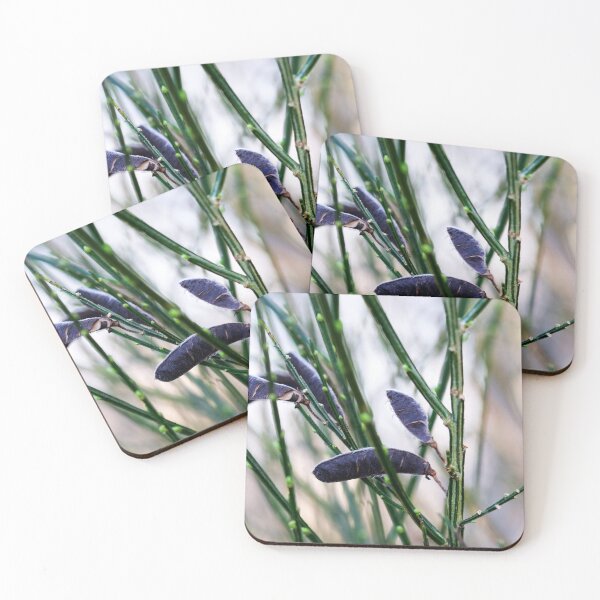 Item preview, Circle of Life designed and sold by Alternative Perspectives.