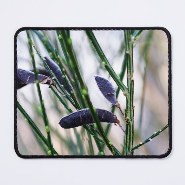 Item preview, Circle of Life designed and sold by Alternative Perspectives.