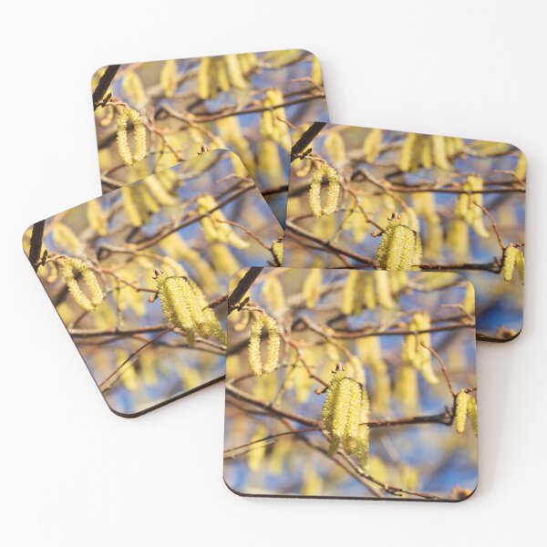 Item preview, Catkins designed and sold by Alternative Perspectives.