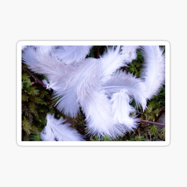 Soft Downy Feathers Sticker