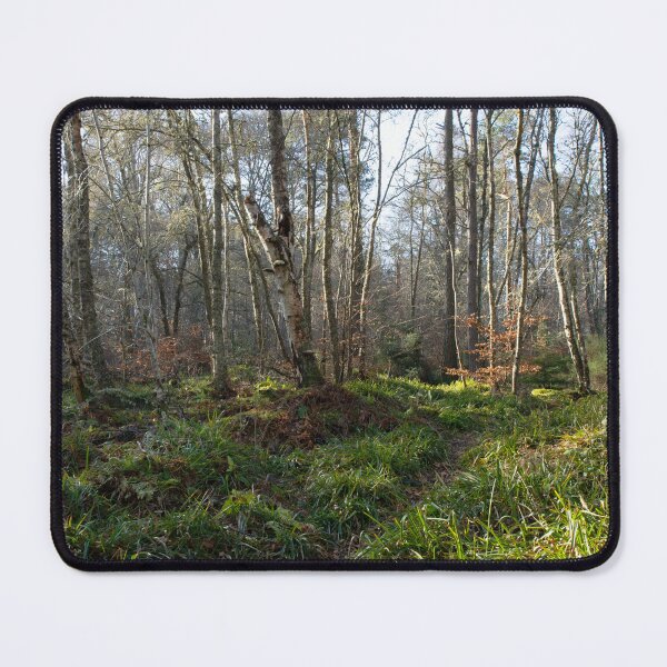 Item preview, The Middle Way designed and sold by Alternative Perspectives.
