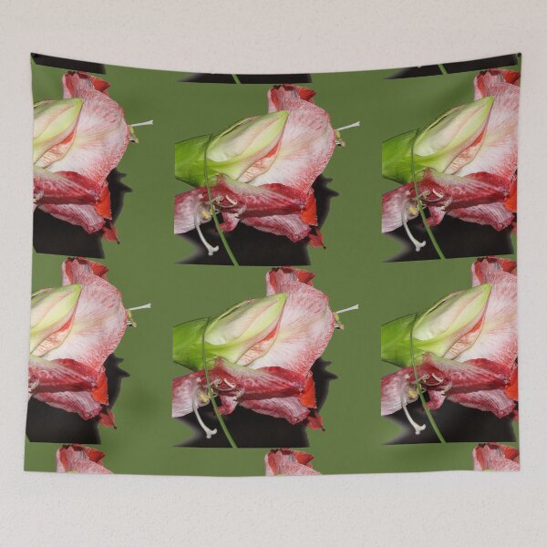 Aperçu de l'œuvre Amaryllis No 41 créée et vendue par ArtOfE.