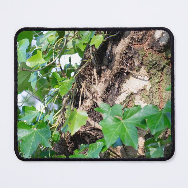 Ivy on Birch Mouse Pad