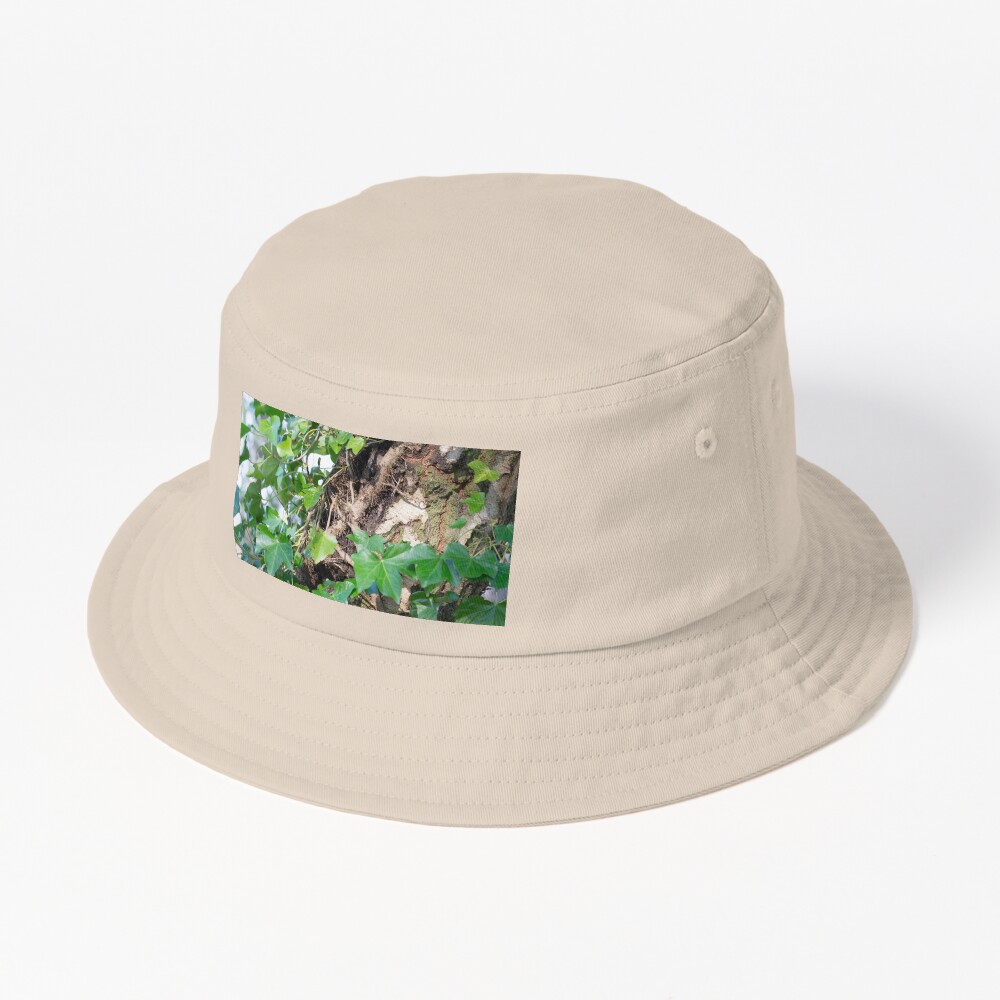 Item preview, Bucket Hat designed and sold by SiobhanFraser.